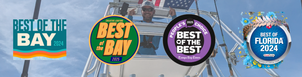 clearwater beach fishing