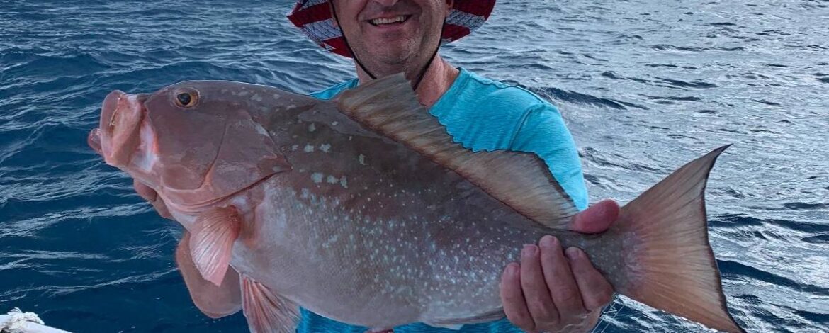 From Red Snapper to Kingfish — Your Fall Fishing Outlook